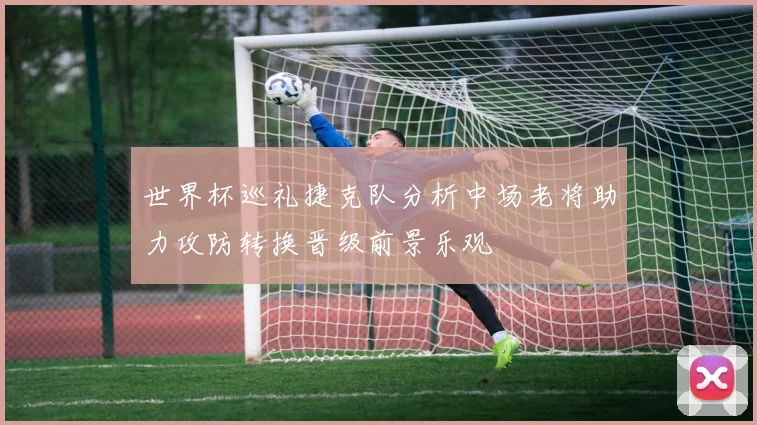 世界杯巡礼捷克队分析中场老将助力攻防转换晋级前景乐观